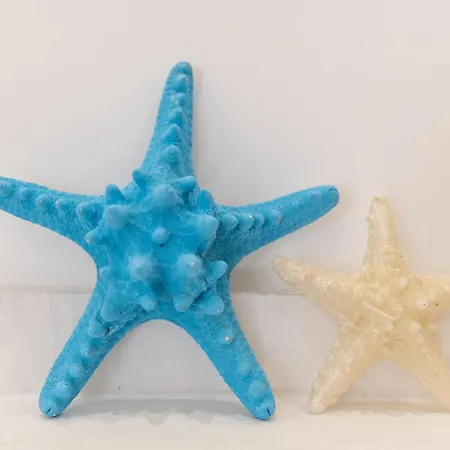 דירה Oltremare *